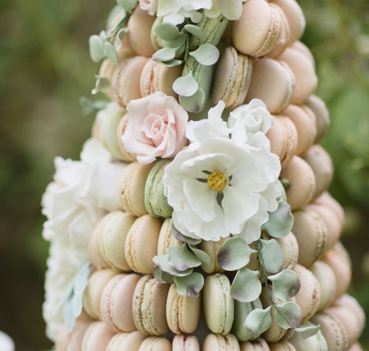 Macaron Pastalar